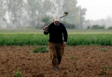 Ενισχύσεις 3,1 εκατ. ευρώ πληρώνει σήμερα ο ΕΛΓΑ