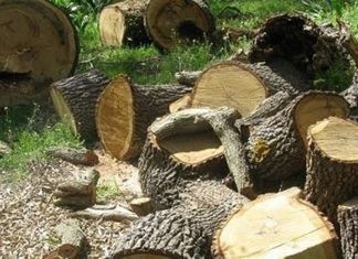 Καυσόξυλα έως δύο τόνους από 1 έως και 3 Φεβρουαρίου