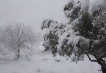 Στο έλεος της κακοκαιρίας και σήμερα η χώρα με πολικό ψύχος και χιονοπτώσεις