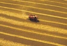 Υποχρεωτικό το Ε3 για τους αγρότες ανεξάρτητα από το εάν τηρούν βιβλία