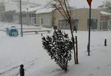 Έκκληση από τον Δήμο Αλεξανδρούπολης να μη βγαίνουν τα σκουπίδια στους κάδους