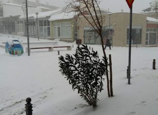 Έκκληση από τον Δήμο Αλεξανδρούπολης να μη βγαίνουν τα σκουπίδια στους κάδους
