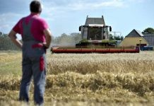  Αγρότες: Σε εξέλιξη σειρά πληρωμών, ενισχύσεων, αποζημιώσεων και προγραμμάτων