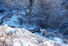 Απαγόρευση θήρας στην περιοχή ευθύνης του Δασαρχείου Αλεξανδρούπολης