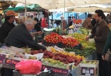 Καβάλα: Η παγωνιά κατέστρεψε τα αγροτικά προϊόντα της περιοχής