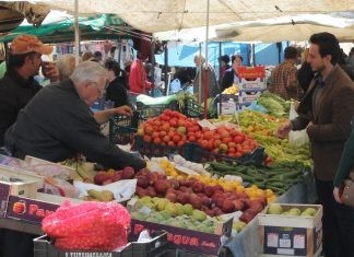 Καβάλα: Η παγωνιά κατέστρεψε τα αγροτικά προϊόντα της περιοχής