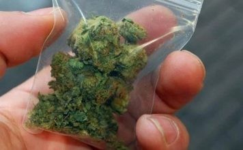 Σύλληψη 2 ημεδαπών για κατοχή ναρκωτικών σε Κομοτηνή και Θεσσαλονίκη