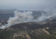 Θάσος: 6 εκατ. ευρώ για αντιπλημμυρικά και δασοτεχνικά έργα