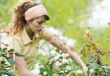 443 εκατ. ευρώ για στήριξη Βιολογικής Γεωργίας