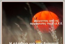 «Η αλήθεια για τον διαιτητή»