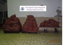 Κατασχέσεις οστράκων ακατάλληλων για ανθρώπινη κατανάλωση στην Αλεξανδρούπολη και συλλήψεις