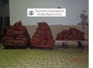 Κατασχέσεις οστράκων ακατάλληλων για ανθρώπινη κατανάλωση στην Αλεξανδρούπολη και συλλήψεις