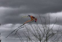 Συννεφιασμένος ο καιρός σήμερα Καθαρά Δευτέρα