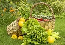 Επίθεση Αυγενάκη – Κεφαλογιάννη στην Κυβέρνηση για τη Βιολογική Κτηνοτροφία