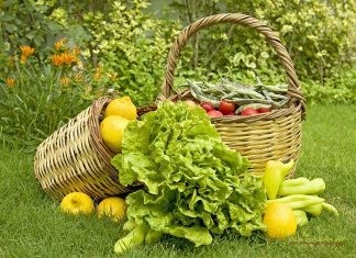Πρόσκληση συμμετοχής σε βιολογικές καλλιέργειες