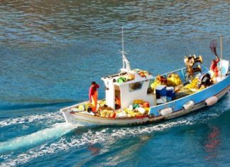 “Το Εθνικό Επιχειρησιακό Πρόγραμμα Αλιείας και Θάλασσας 2014-2020 που παραμένει στα χαρτιά”