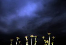 Με τοπικές βροχές ο καιρός της Τρίτης