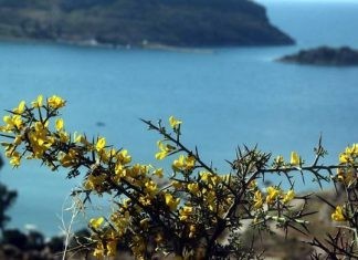 Με τοπικές συννεφιές και νέα άνοδο της θερμοκρασίας αρχίζει η άνοιξη