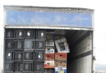 Συνελήφθη 32χρονος υπήκοος Βουλγαρίας, ο οποίος προωθούσε στο εσωτερικό της χώρας 26 μη νόμιμους μετανάστες
