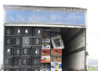 Συνελήφθη 32χρονος υπήκοος Βουλγαρίας, ο οποίος προωθούσε στο εσωτερικό της χώρας 26 μη νόμιμους μετανάστες