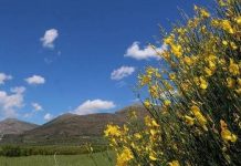 Ανοιξιάτικη και ζεστή η Πέμπτη
