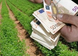 Εκτός κοινοτικών επιδοτήσεων πολλοί αγρότες λόγω των δασικών χαρτών