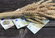 Αποζημιώσεις 7,5 εκατ. ευρώ καταβάλλει την Παρασκευή ο ΕΛΓΑ