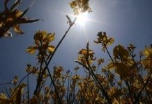 Αίθριος καιρός με αραιές νεφώσεις το Σαββατοκύριακο