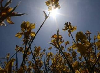 Αίθριος καιρός με αραιές νεφώσεις το Σαββατοκύριακο