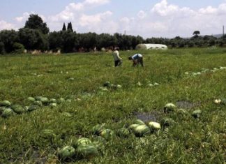 Νέες περιοχές του νομού Έβρου στο πρόγραμμα της απονιτροποίησης στο ΠΑΑ 2014-2020