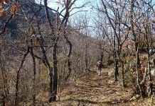 Παρουσίαση του σχεδιασμού για τη δημιουργία διαδρομών πεζοπορικού τουρισμού στην Αλεξανδρούπολη