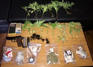 Συνελήφθησαν στον Έβρο, 3 ημεδαποί κατηγορούμενοι για καλλιέργεια και κατοχή ναρκωτικών και παράβαση του νόμου περί όπλων