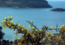 Ανοιξιάτικος ο καιρός της Μεγάλης Δευτέρας
