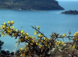 Ανοιξιάτικος ο καιρός της Μεγάλης Δευτέρας