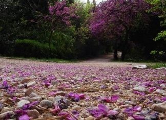 «Κύματα» βροχής ανά τη χώρα σήμερα Παρασκευή