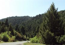 Δυνατότητα εξαγοράς δασικών εκτάσεων από καλλιεργητές με 30 ευρώ το μήνα
