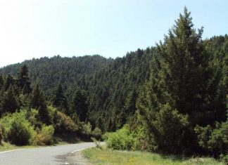 Δυνατότητα εξαγοράς δασικών εκτάσεων από καλλιεργητές με 30 ευρώ το μήνα