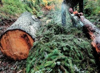 Θανάσιμος τραυματισμός 32χρονου ημεδαπού στη Ροδόπη