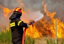 Σύγκληση Συντονιστικού Οργάνου Πολιτικής Προστασίας Περιφερειακής Ενότητας Έβρου Αντιμετώπισης Δασικών Πυρκαγιών έτους 2017