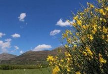 Με πτώση της θερμοκρασίας και βροχές η Πέμπτη