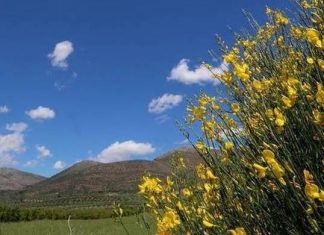 Καλοκαιρία σήμερα – Στους 22 βαθμούς η θερμοκρασία