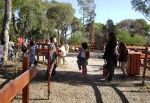 Κρατικές κατασκηνώσεις: Εγγραφές στους δήμους