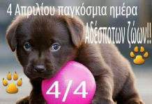 Εορτασμός της Παγκόσμιας Ημέρας Αδέσποτων Ζώων στην Κομοτηνή