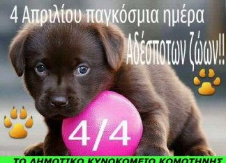 Εορτασμός της Παγκόσμιας Ημέρας Αδέσποτων Ζώων στην Κομοτηνή