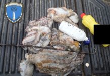 Ψάρευε στα Δίκελλα Αλεξανδρούπολης με… χλωρίνη!