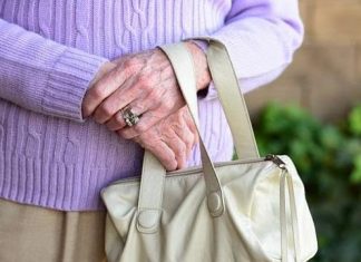 Συνελήφθη 30χρονος ημεδαπός για αρπαγή τσάντας από ηλικιωμένη στην Ορεστιάδα