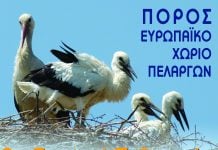 2ο Φεστιβάλ Πελαργών στον Πόρο Έβρου, στις 2 & 3 Ιουνίου