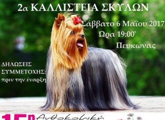 2α Καλλιστεία Σκύλων στη Ν. Ορεστιάδα