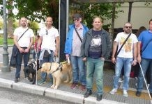 Προσφέρονται σκύλοι-οδηγοί τυφλών από το Σωματείο ΑμεΑ Π.Ε Ροδόπης