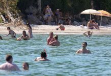 “Ουραγός” η Περιφέρεια ΑΜΘ σε μέση δαπάνη ανά επίσκεψη σύμφωνα με έρευνα της Τράπεζας της Ελλάδος